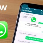 Everything You Need to Know About the New LogicalShout WhatsApp Update